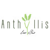 Anthyllis